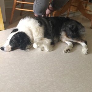 Meet your Posher, Emma